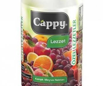 CAPPY MEYVE SULARI